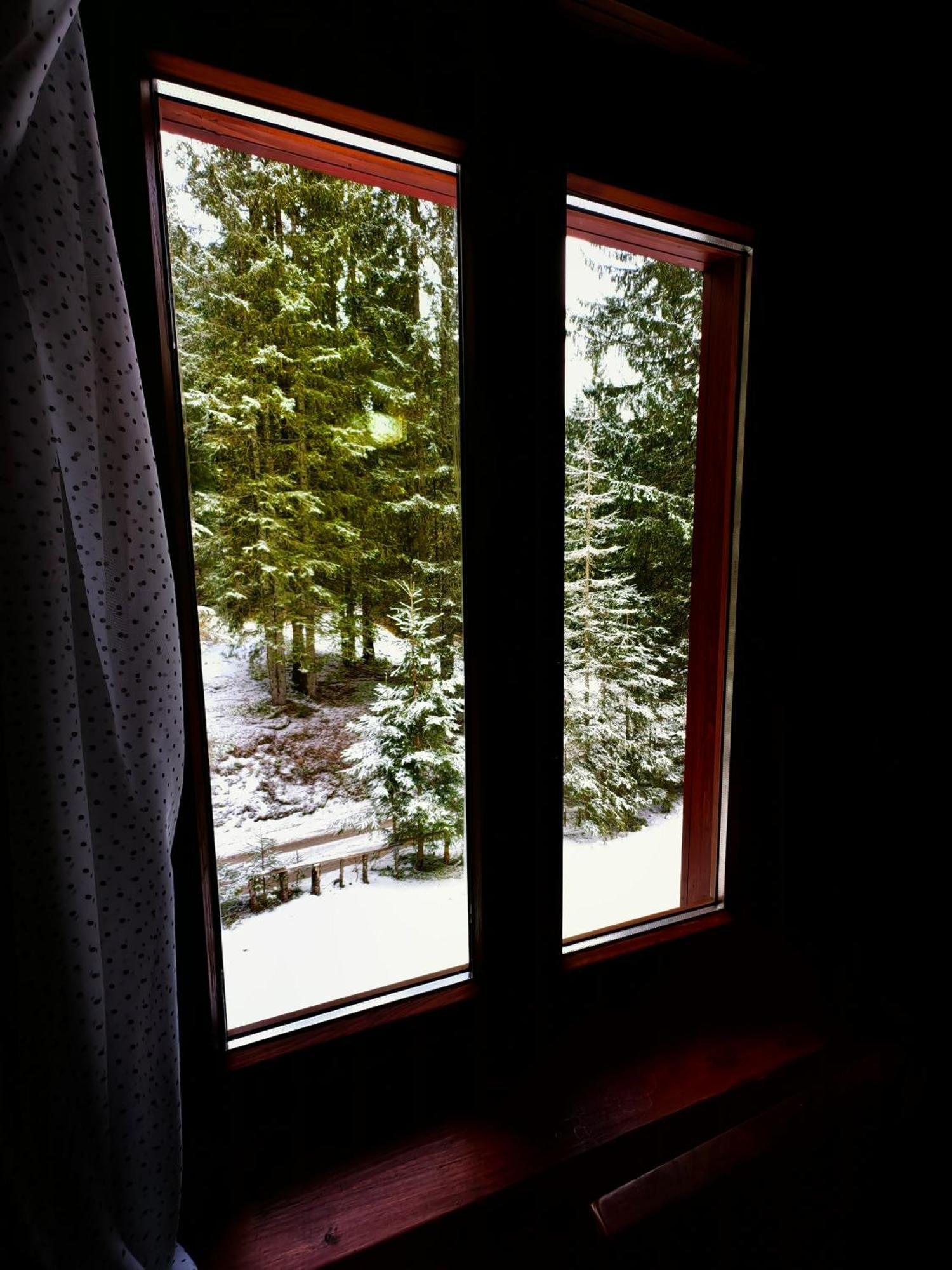 Chalet Stara Jelka Pokljuka Zgornje Gorje Exterior foto